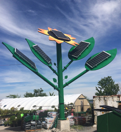 solar-pv-flower-scaled